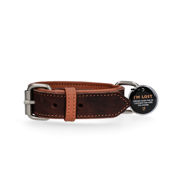 Lederhalsband für Hunde mit digitaler Hundemarke, 50 cm, Braun – Spotted! Pro