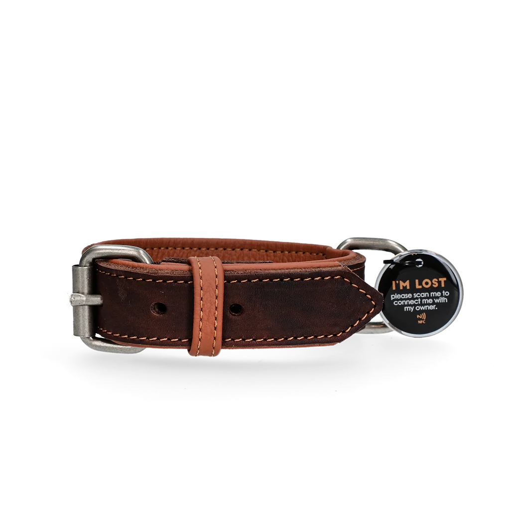 Lederhalsband für Hunde mit digitaler Hundemarke, 50 cm, Braun – Spotted! Pro – Bild 1