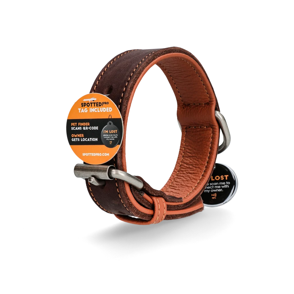Lederhalsband für Hunde mit digitaler Hundemarke, 50 cm, Braun – Spotted! Pro – Bild 4