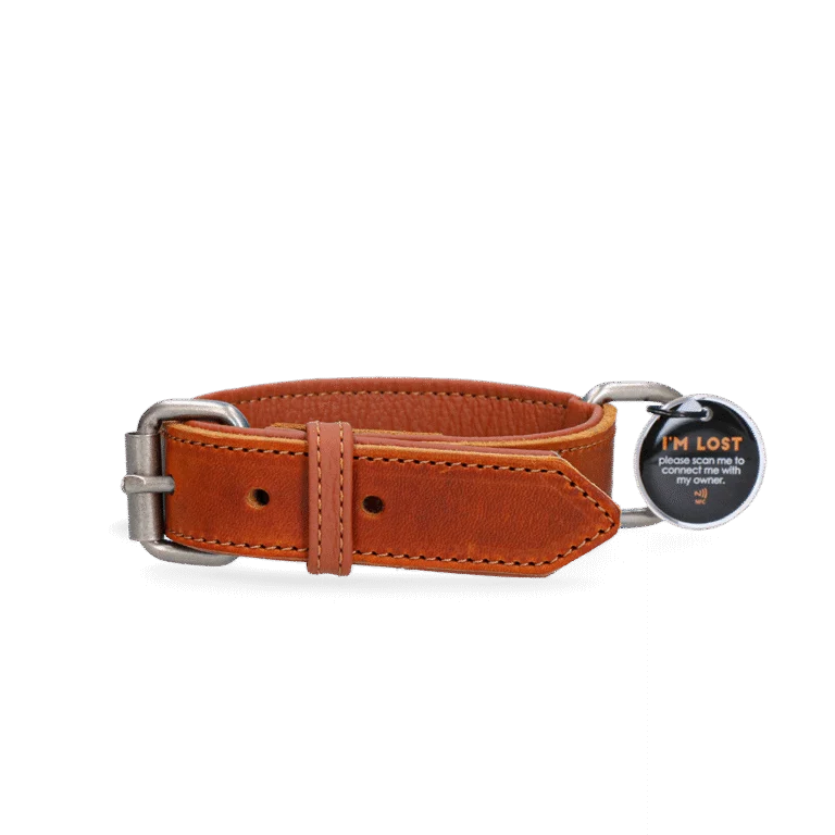 Lederhalsband für Hunde mit digitaler Marke, 55 cm, Cognac – Spotted! Pro