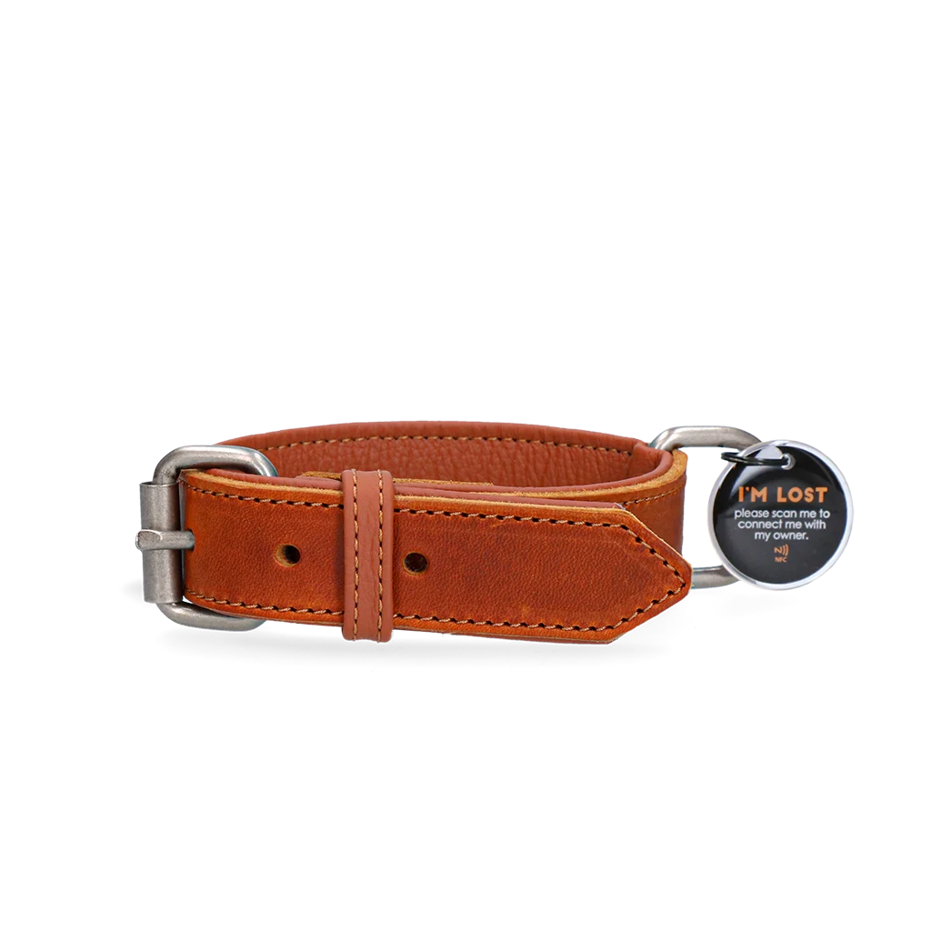 SPOT0030D-2.png Lederhundehalsband mit digitaler Marke, 60 cm, Cognac – Spotted! Pro – Bild 1