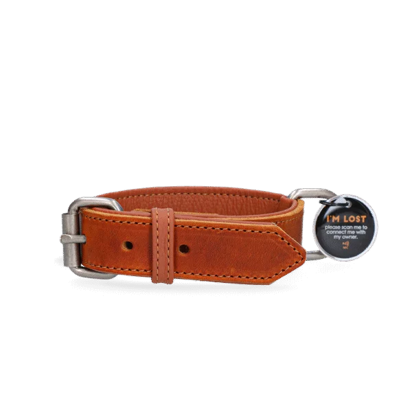 Lederhalsband für Hunde mit digitaler Hundemarke, 45 cm, Cognac – Spotted! Pro
