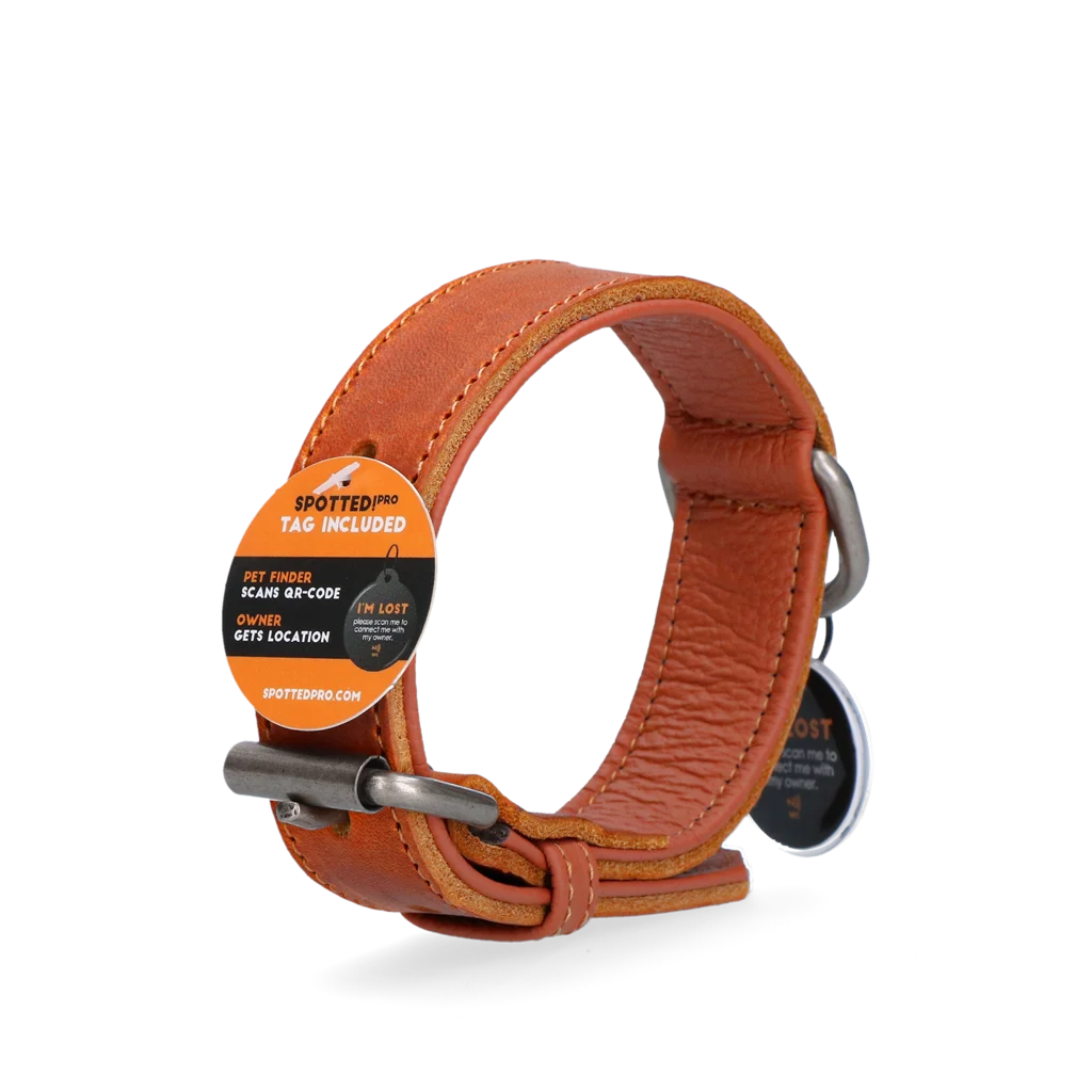 Lederhalsband für Hunde mit digitaler Hundemarke, 45 cm, Cognac – Spotted! Pro – Bild 3