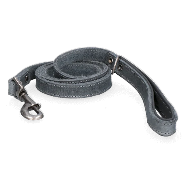Lederleine für Hunde mit gefütterter Handschlaufe, Grau, 130 x 1,8 cm – Spotted! Pro