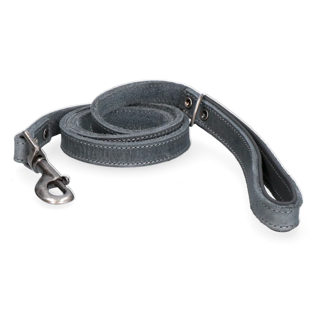 SPOT0040B.png Lederleine für Hunde mit gefütterter Handschlaufe, Grau, 130 x 1,8 cm – Spotted! Pro – Bild 1