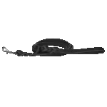 Showleine für Hunde aus Leder mit Karabinerhaken, Schwarz, 180 cm x 12 mm – Spotted! Pro