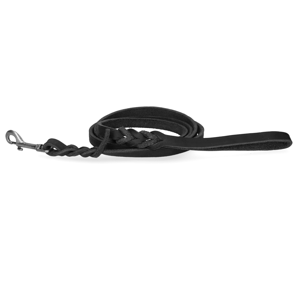 SPOT0046A.png Showleine für Hunde aus Leder mit Karabinerhaken, Schwarz, 180 cm x 12 mm – Spotted! Pro – Bild 1