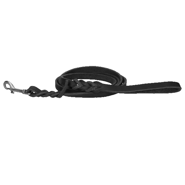 Showleine für Hunde aus Leder mit Karabinerhaken, Schwarz, 180 cm x 16 mm – Spotted! Pro