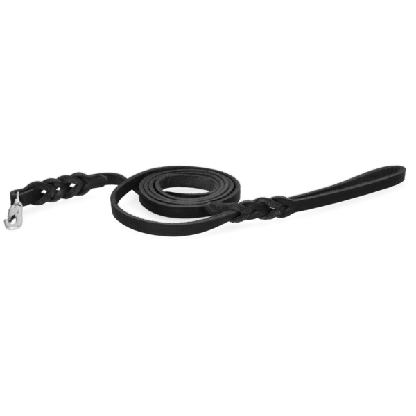 Showleine für Hunde aus Leder mit Karabinerhaken, Schwarz, 180 cm x 12 mm – Spotted! Pro
