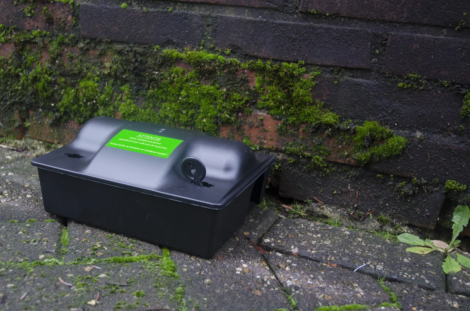 Warnaufkleber für Monitoringköder oder Schlagfalle, 8 x 4 cm, 100 Stück – Hofman Pest Control Unvergiftet / Schlagfalle – Bild 2