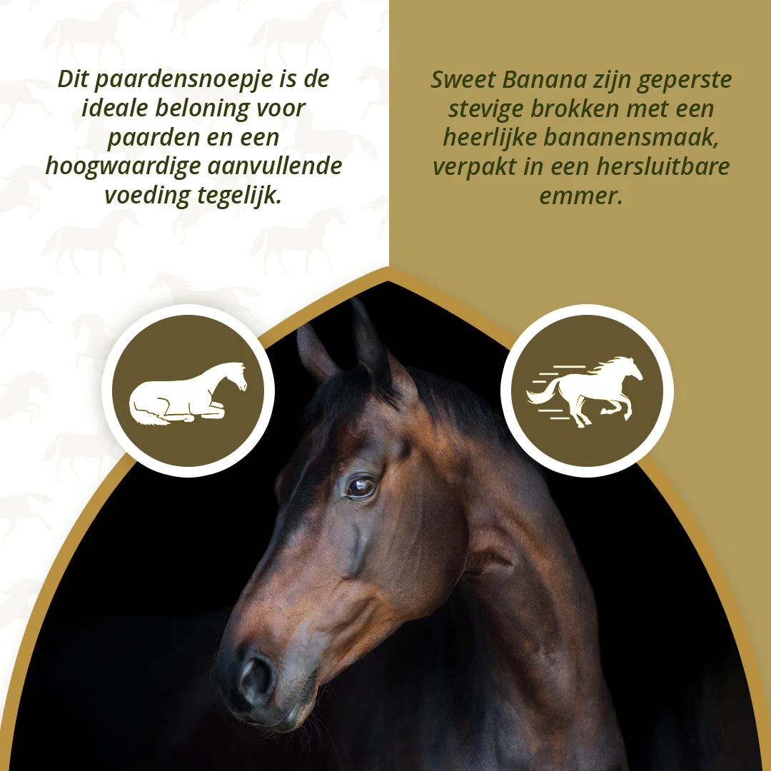 Pferdeleckerli mit Banane, zuckerarm, 3 kg – Excellent Horse Sweet Blocks – Bild 4
