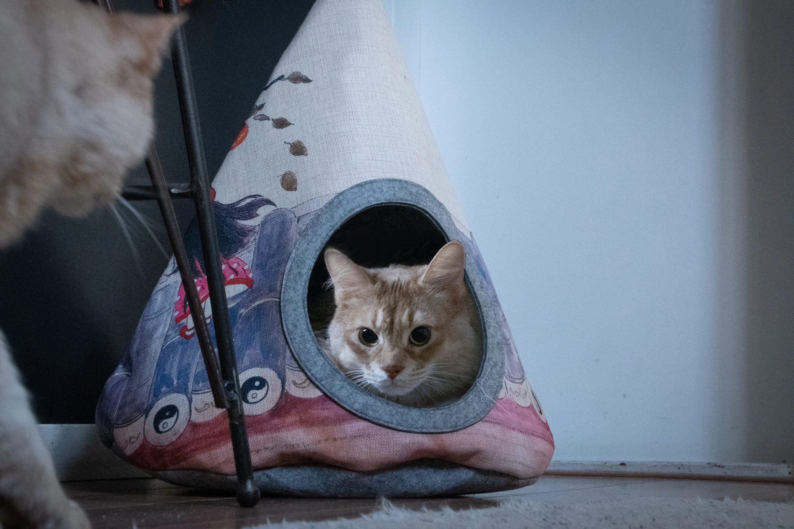 Katzenzelt mit Kissen, 42 x 56 cm – Takara Tipi Yin Yang – Bild 2