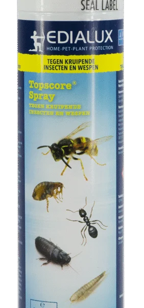 Schaumspray gegen kriechende Insekten und Wespen – Edialux Topscore