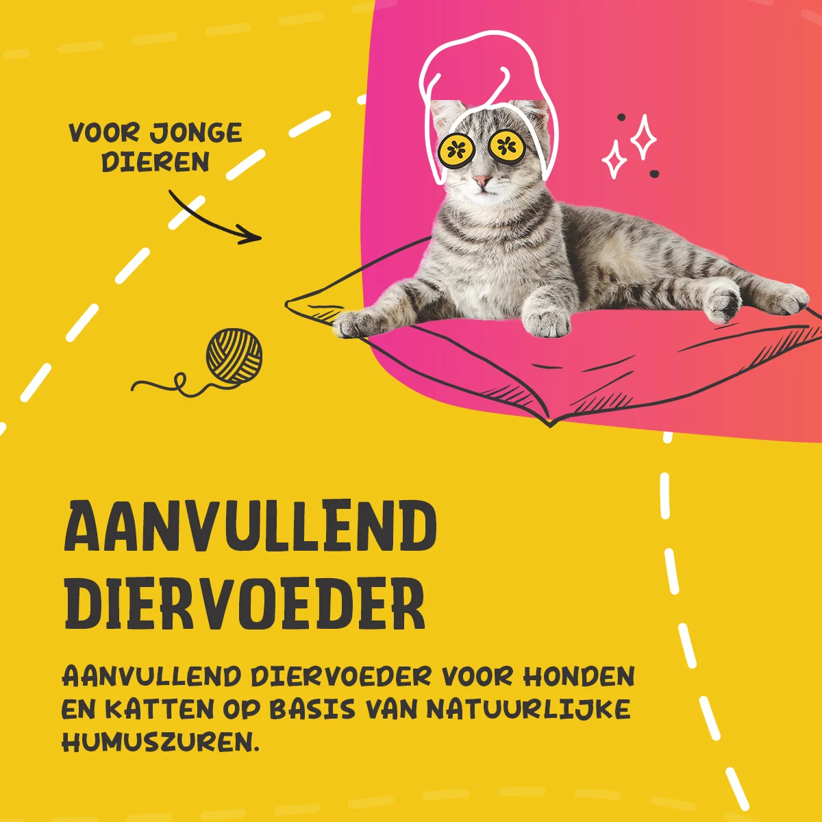 Flüssiges Ergänzungsfuttermittel für Hunde und Katzen, 250 ml – Excellent Pets Total Balance – Bild 3