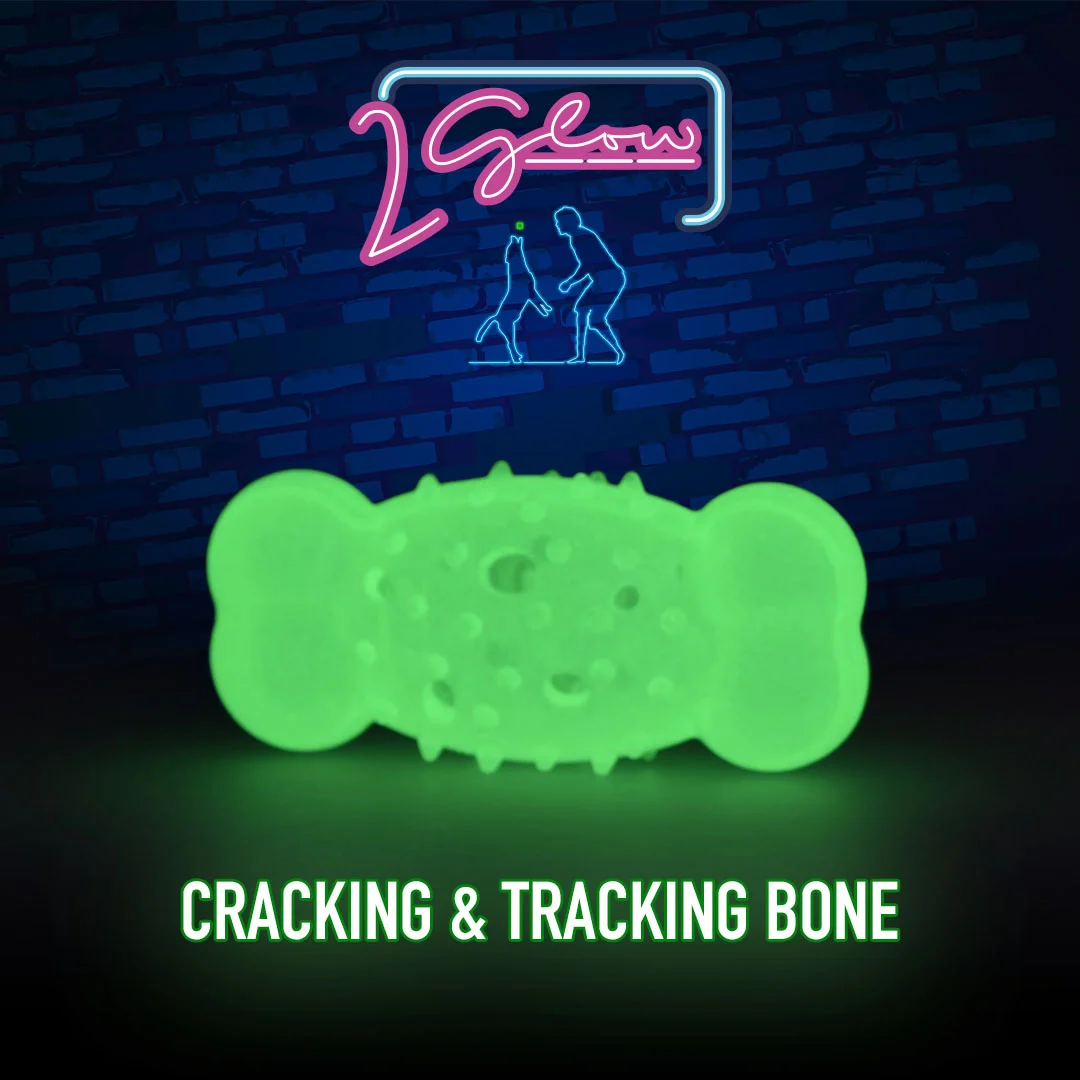 Leuchtender Spielknochen für Hunde – 2 Glow Cracking & Tracking Bone – Bild 3