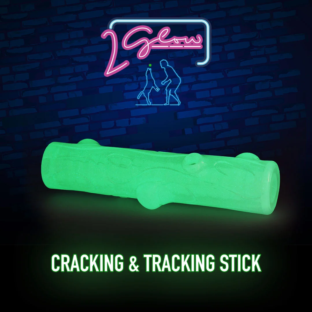 Leuchtender Spielstock für Hunde – 2 Glow Cracking & Tracking Stick – Bild 3