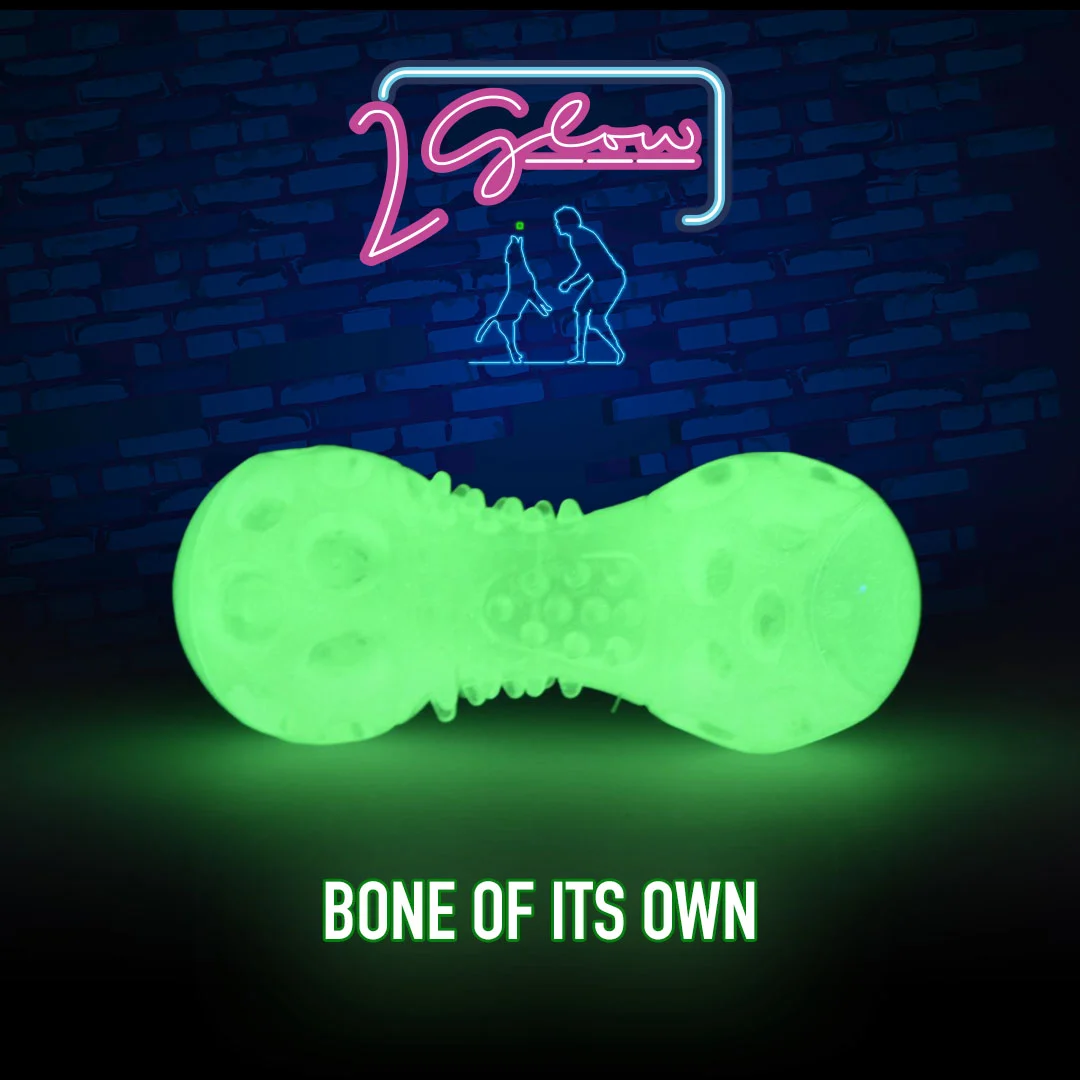 Leuchtender Spielknochen für Hunde – 2 Glow Bone of it's Own – Bild 3
