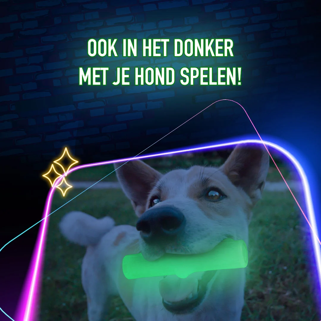Leuchtender Spielknochen für Hunde – 2 Glow Treat Bone of it's Own – Bild 5