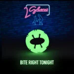 Leuchtendes Hundespielzeug – 2 Glow Bite Right Tonight – Bild 3