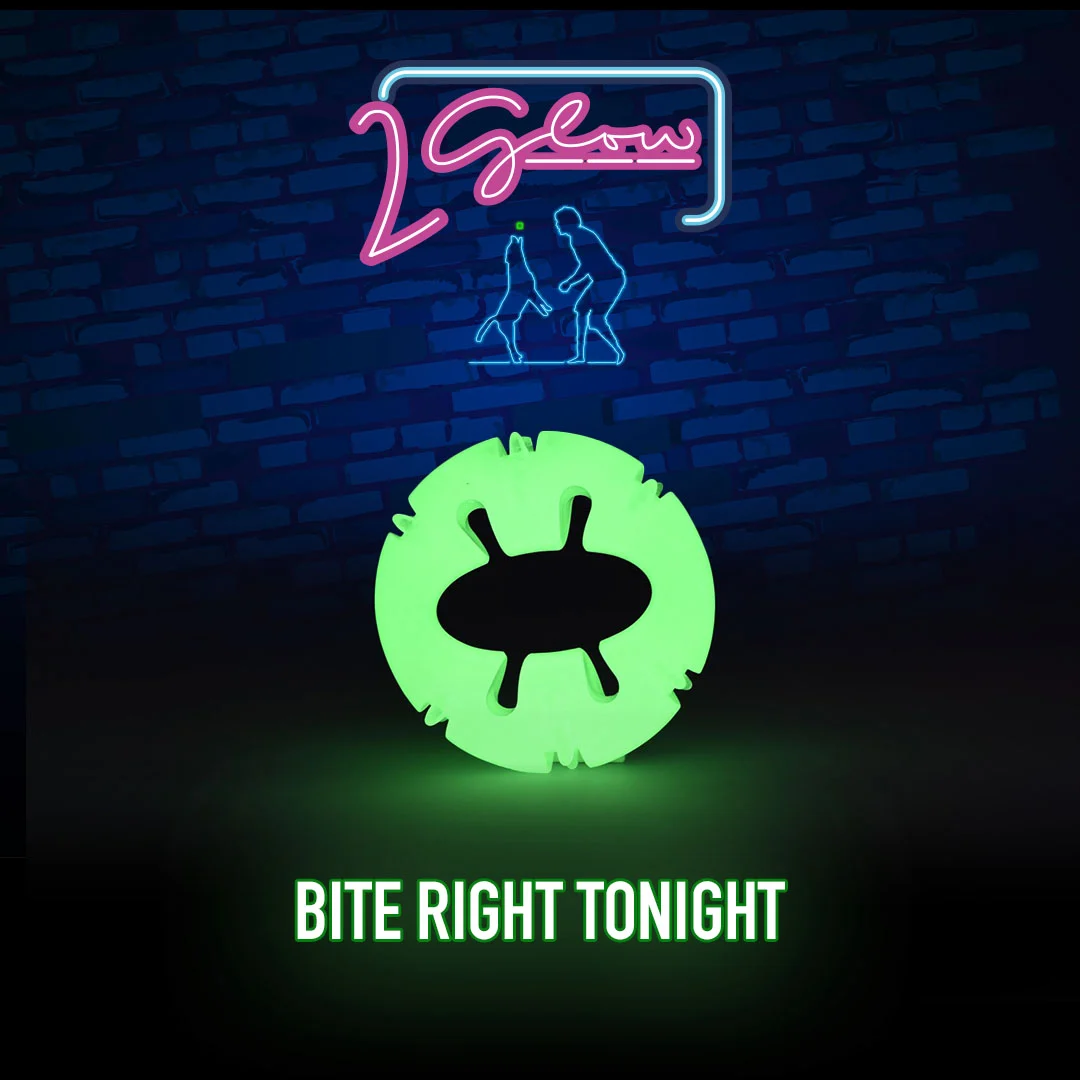 Leuchtendes Hundespielzeug – 2 Glow Bite Right Tonight – Bild 3
