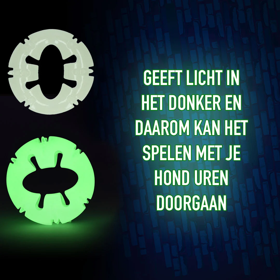 Leuchtendes Hundespielzeug – 2 Glow Bite Right Tonight – Bild 4