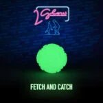 Hundespielzeug, das im Dunkeln leuchtet – 2 Glow Fetch & Play – Bild 2