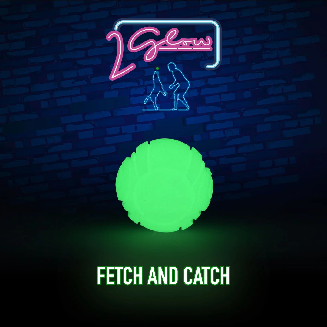 Hundespielzeug, das im Dunkeln leuchtet – 2 Glow Fetch & Play – Bild 2