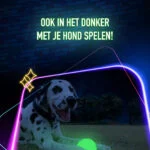 Hundespielzeug, das im Dunkeln leuchtet – 2 Glow Fetch & Play – Bild 4