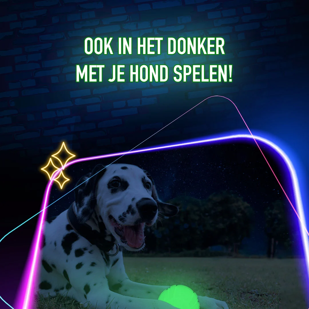 Hundespielzeug, das im Dunkeln leuchtet – 2 Glow Fetch & Play – Bild 4