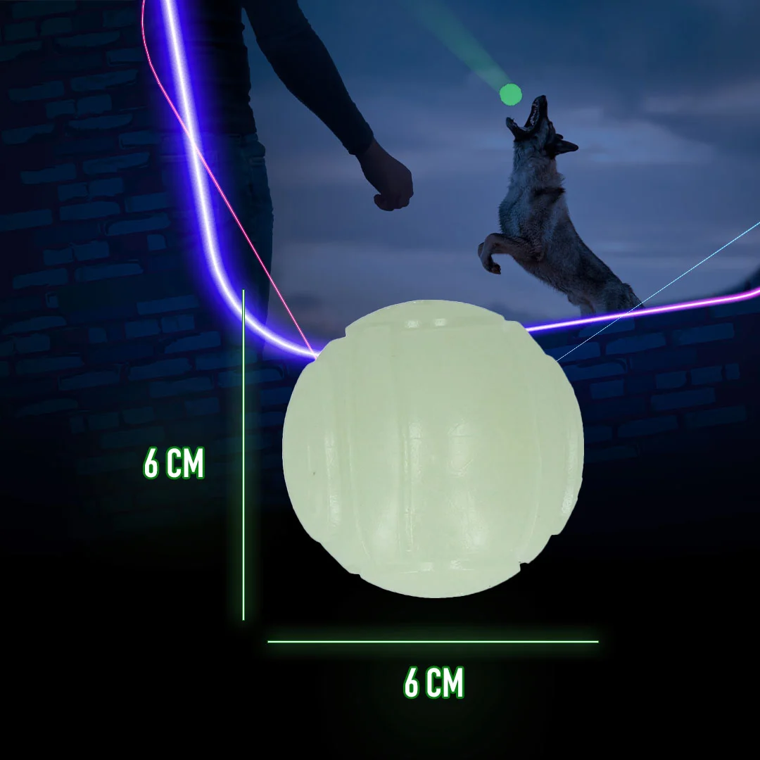 Hundespielzeug, das im Dunkeln leuchtet – 2 Glow Fetch & Play – Bild 6