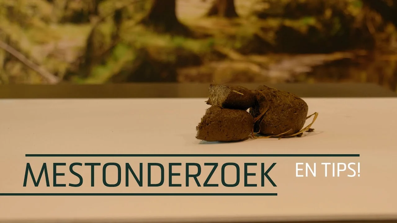Flohsamen für Pferde mit Psylliumfasern, 1,2 kg – Excellent Horse Herbs Flohsamen – Bild 2