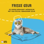 Urinspray gegen Urinflecken und Uringeruch 500 ml – Excellent Pets Urine Control Spray – Bild 6