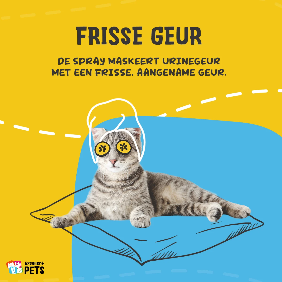 Urinspray gegen Urinflecken und Uringeruch 500 ml – Excellent Pets Urine Control Spray – Bild 6