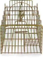 Lebendfalle für Ratten, 18 x 36 x 12 cm – Hofman Pest Control