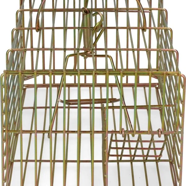 Lebendfalle für Ratten, 18 x 36 x 12 cm – Hofman Pest Control