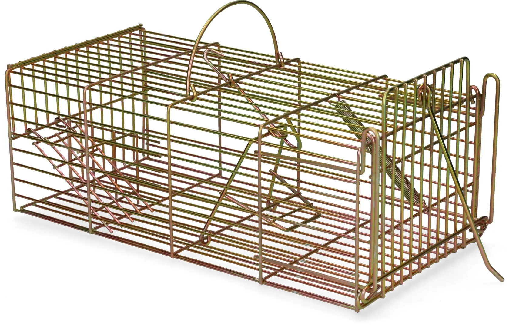 Lebendfalle für Ratten, 18 x 36 x 12 cm – Hofman Pest Control – Bild 3