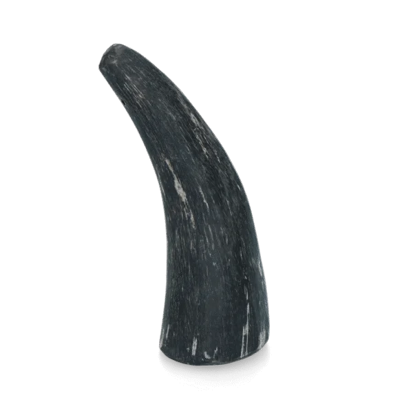 Rinderhorn für Hunde von 1 bis 4 kg – Viking Horn Whole S