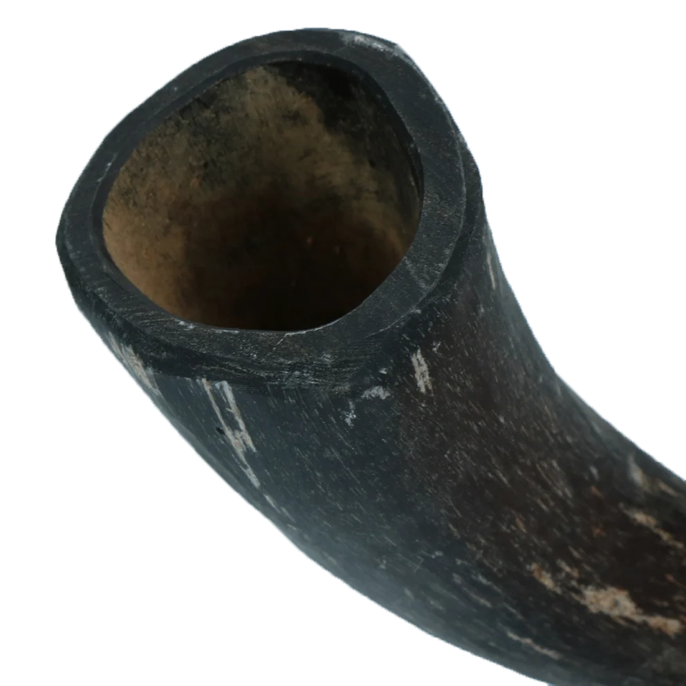 Rinderhorn für Hunde von 1 bis 4 kg – Viking Horn Whole S – Bild 3