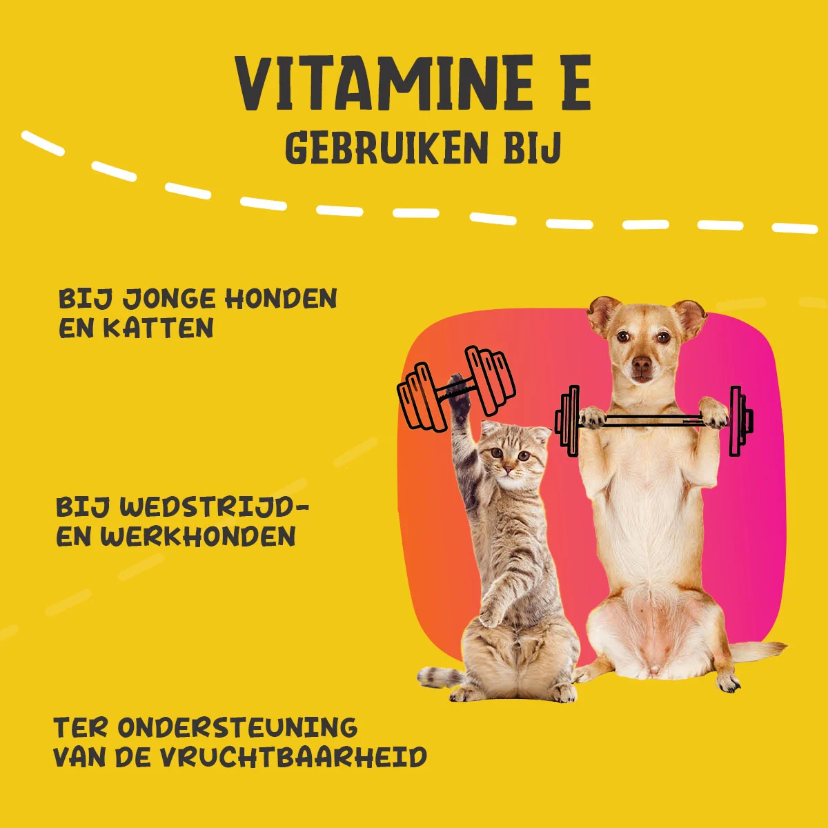 Ergänzungspulver für Hunde und Katzen mit Vitamin E und Selen, 250 g – Excellent Pets Vitamin E+ – Bild 6
