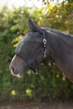 Halfter mit integrierter Fliegenmaske und Ohrenschutz Cob – Bild 3