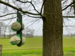 Aufhängehaken für Meisenknödel, 24,5 cm – Vplast – Bild 6