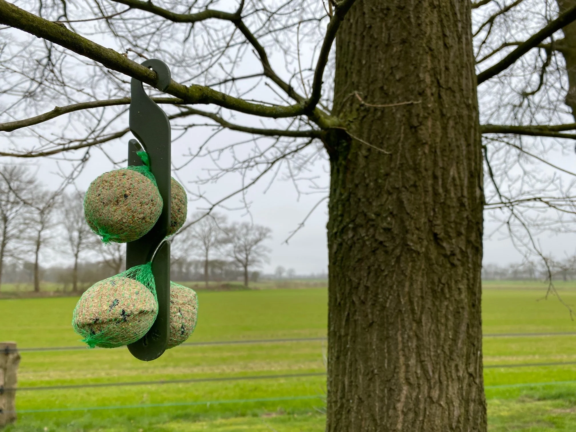 Aufhängehaken für Meisenknödel, 24,5 cm – Vplast – Bild 6