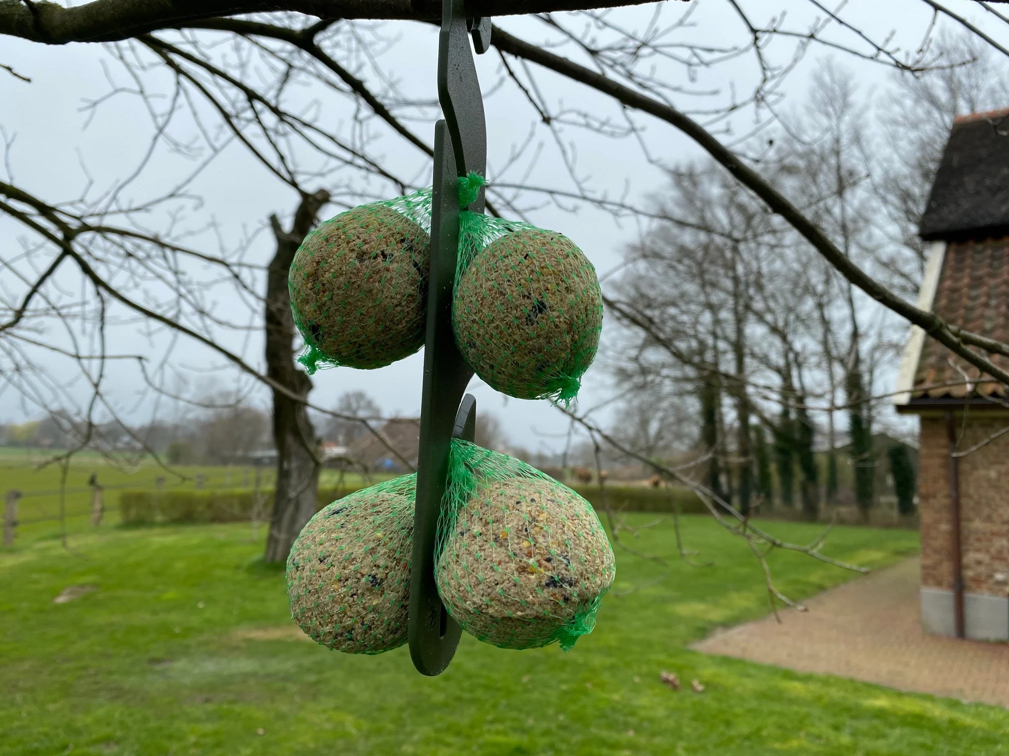 Aufhängehaken für Meisenknödel, 24,5 cm – Vplast – Bild 4