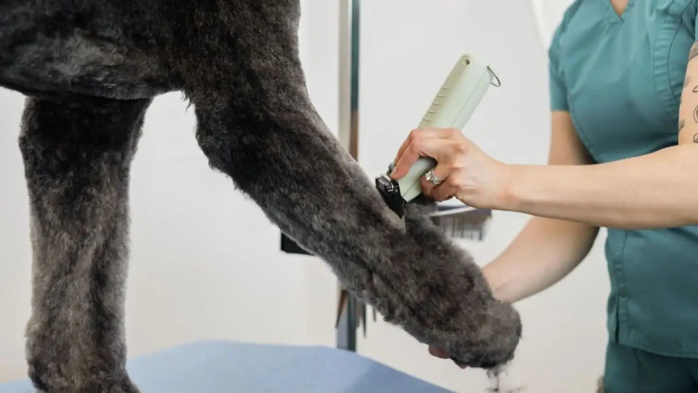 Pferdeschermaschine mit Kabel und Akku, 2 Geschwindigkeiten – Wahl KMC+ – Bild 3