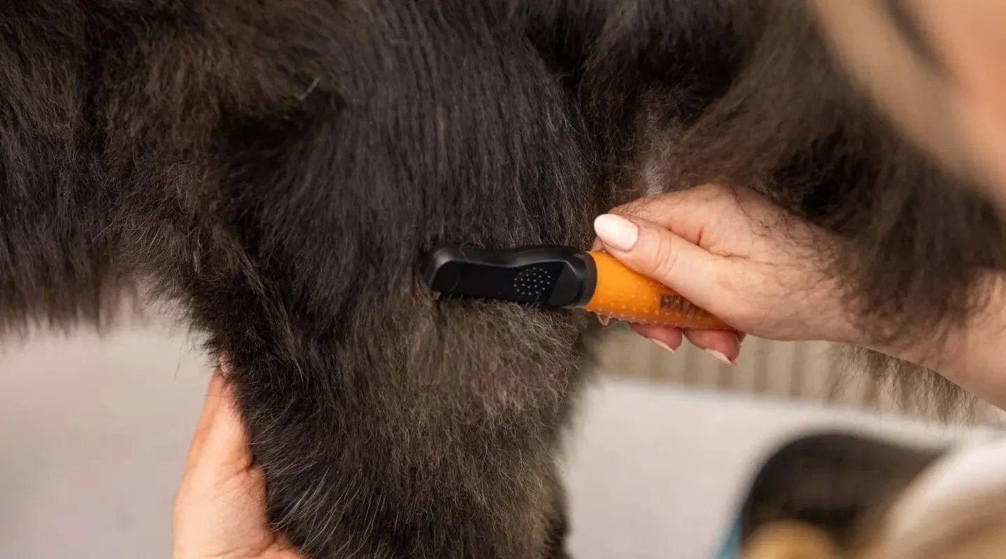 Entfilzungskamm für Hunde mit gebogenen Edelstahlzinken – Wahl Dematter – Bild 4