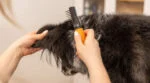 Entfilzungskamm für Hunde mit gebogenen Edelstahlzinken – Wahl Dematter – Bild 3