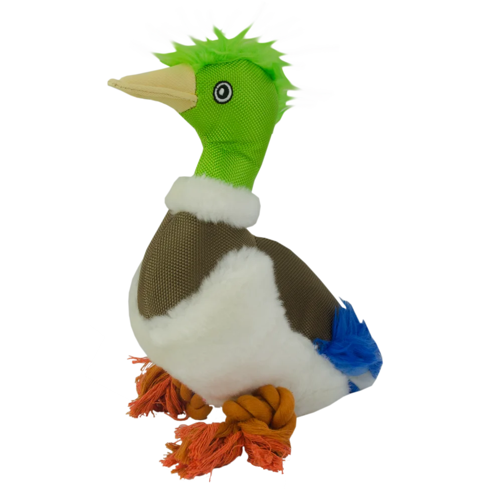 Hundespielzeug aus weichem Plüsch mit Zerrseil und Quietscher – Wild Life Collection Wild Life Dog Ente – Bild 2