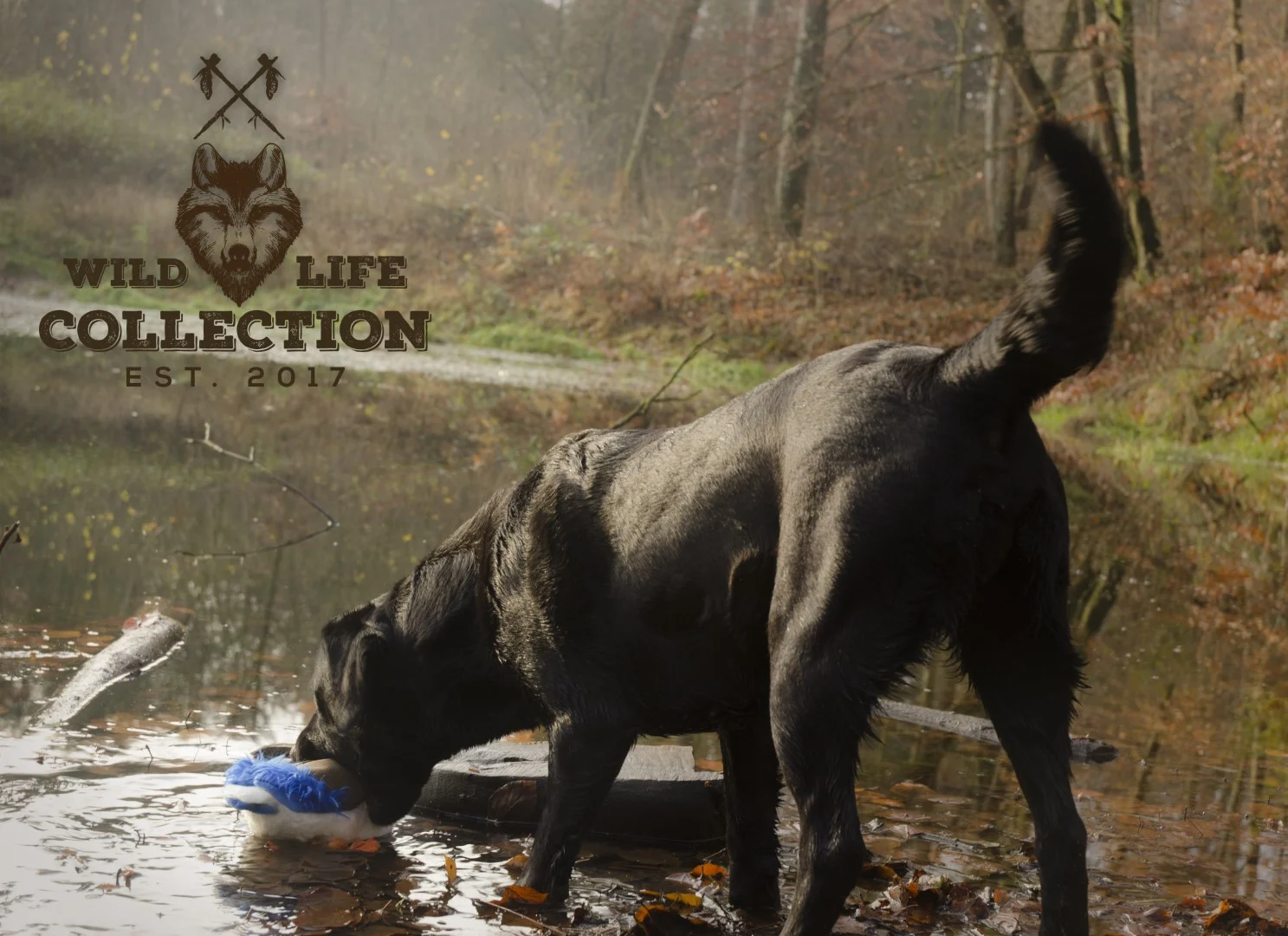 Hundespielzeug aus weichem Plüsch mit Zerrseil und Quietscher – Wild Life Collection Wild Life Dog Ente – Bild 5
