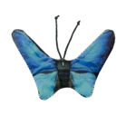 Katzenspielzeug Schmetterling mit Katzenminze – Wild Life Collection Cat Blauer Schmetterling – Bild 2
