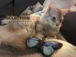 Katzenspielzeug Schmetterling mit Katzenminze – Wild Life Collection Cat Blauer Schmetterling – Bild 3